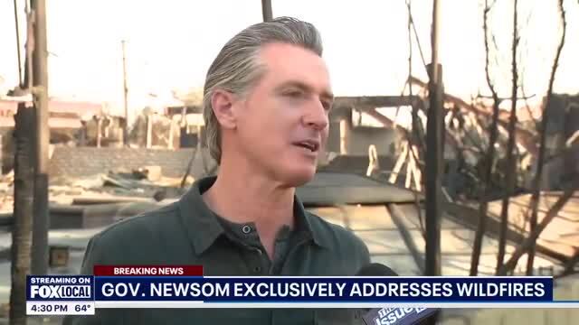 Newsom: I Was Just Talking to Hawaii Gov. Green Who Had Some Ideas ...
