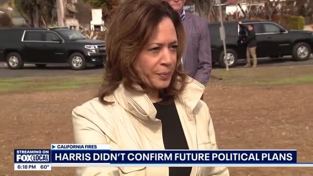 Kamala Harris Tours Palisades Fire Area: ‘These Extreme Weather Occurrences Are Extreme, But They Are Increasingly Less Rare’