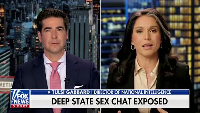 Tulsi Gabbard Calls CNN a ‘Propaganda Arm’ of the Intel Community
