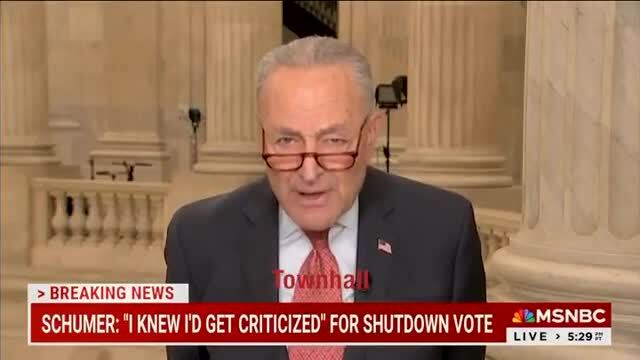 Chuck Schumer Calls Republicans ‘Bastards’ on MSNBC