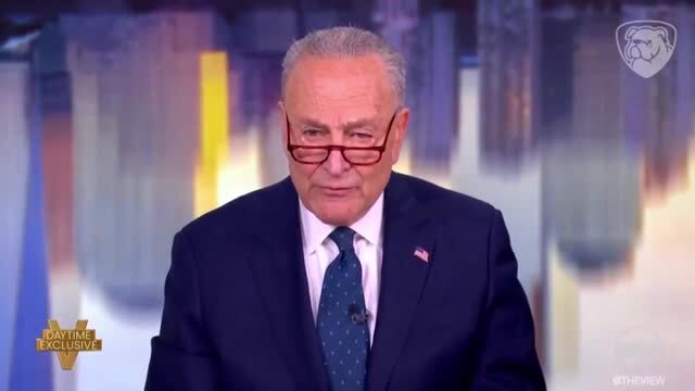 Schumer Mocks Americans Who Want to Keep Their Hard-Earned Income: ‘How Dare Your Government Take My Money from Me’