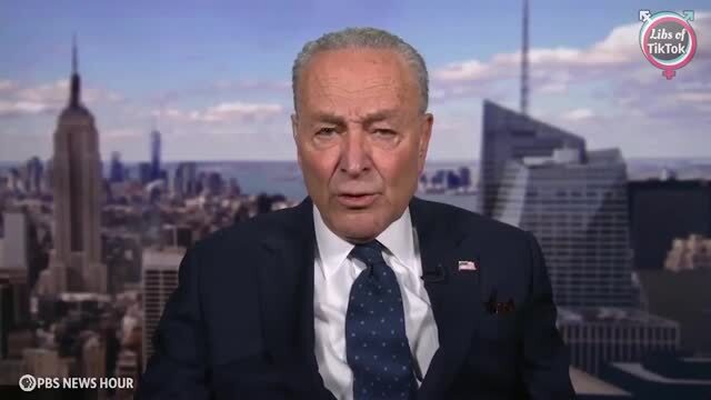 Schumer Admits He’s Sending Democrat Activists: ‘We Are Mobilizing in New York, We Have People Going to the Republican Districts’