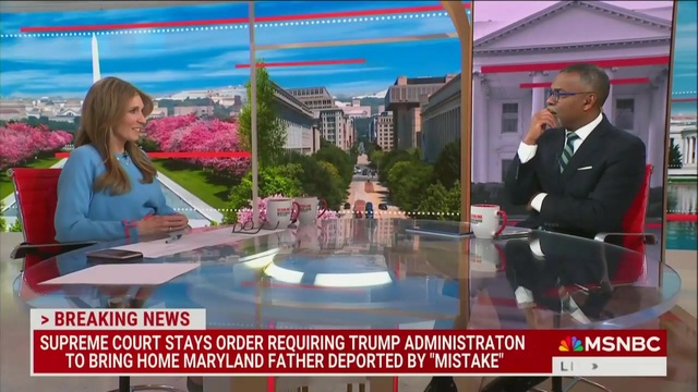 MSNBC Guest Accuses Trump’s 77 Million Voters of Wanting to ‘Destroy the Republic’ Rather Than ‘Elect a Black Woman’