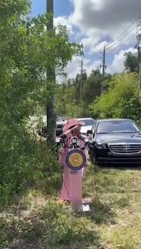 Rep. Frederica Wilson Instructs Her Constituents to ‘Threaten’ Republicans Over Mass Deportations