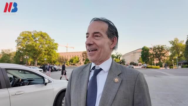 Rep. Raskin on Trump’s First 100 Days: ‘Hard to Find Something Good to Say’