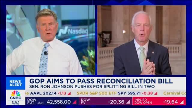 Sen. Johnson Tears into ‘Big, Beautiful Bill’: ‘This Is Immoral What Us Old Farts Are Doing to Our Young People’