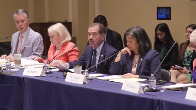Dem Rep. Chuy Garcia: Trump and His ‘Racist Minions’ Deporting Criminals Is a ‘Dangerous Authoritarian Moment’