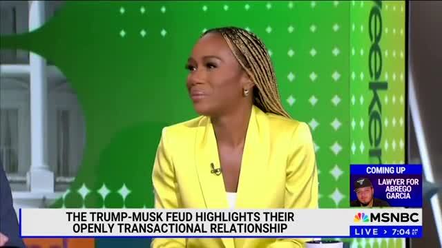 MSNBC Guest: ‘Trump Really Has to Decide What He’s Going To Do with Elon, Because Elon Is a Huge Part of His Identity’