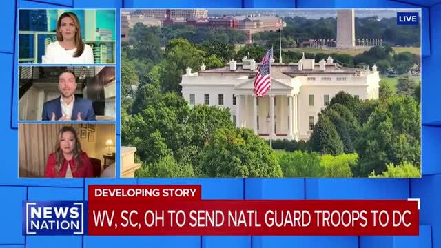 NewsNation Host Reminds Dem Strategist About High Profile Crime Cases Involving Juveniles After Saying D.C. Is Safe
